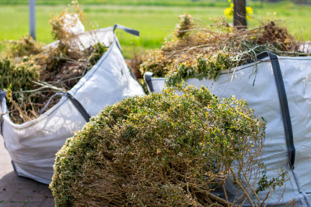 Best Basement Cleanout Services  in Carpentersvle, IL